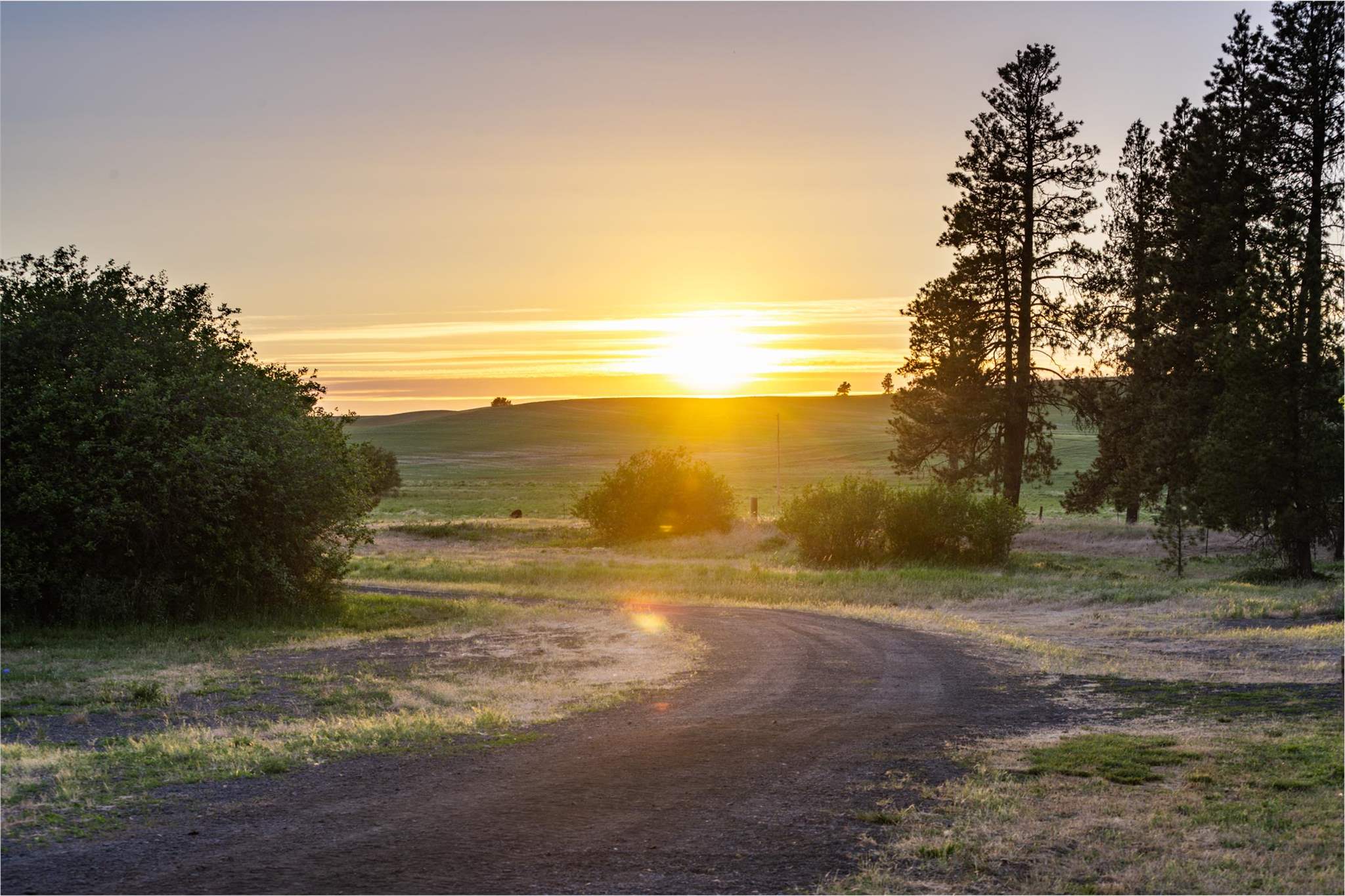 31727 South North Kentuck Trails Road Spangle, WA 99031 - Photo 41 of 50