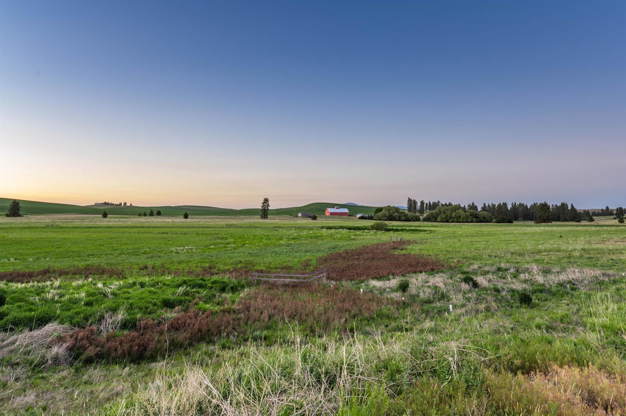 31727 South North Kentuck Trails Road Spangle, WA 99031 - Photo 47 of 50