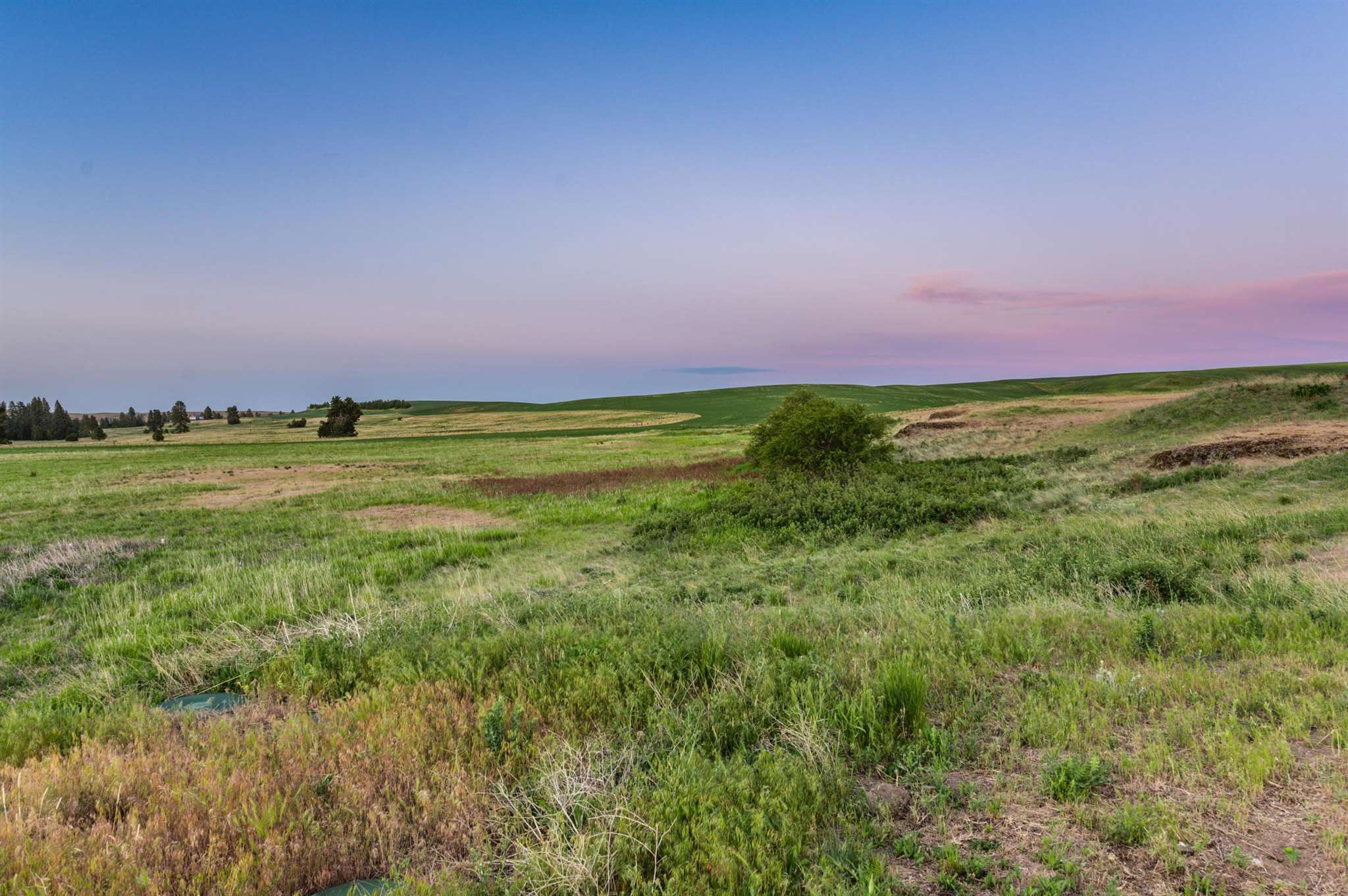 31727 South North Kentuck Trails Road Spangle, WA 99031 - Photo 48 of 50