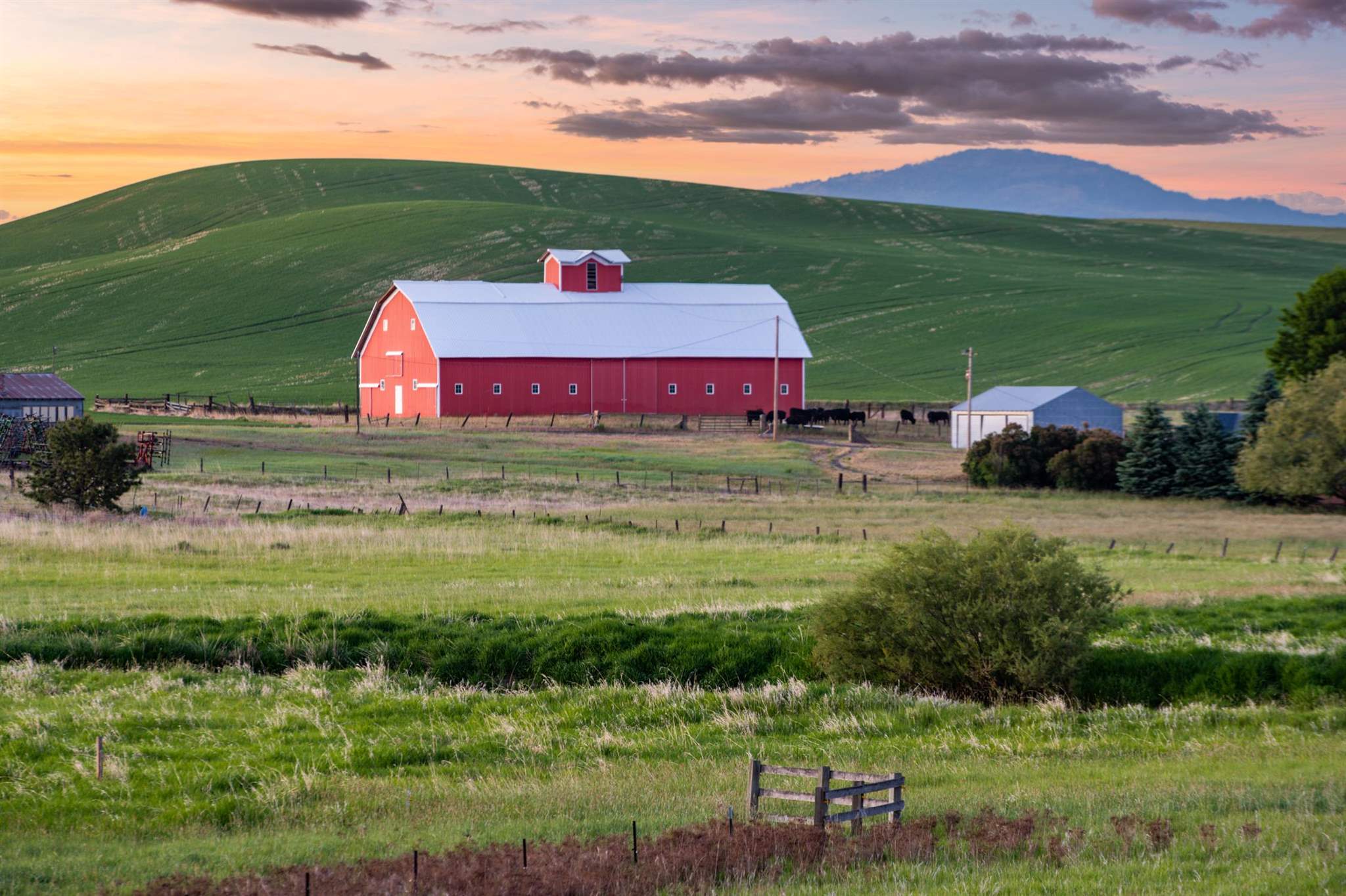 31727 South North Kentuck Trails Road Spangle, WA 99031 - Photo 6 of 50
