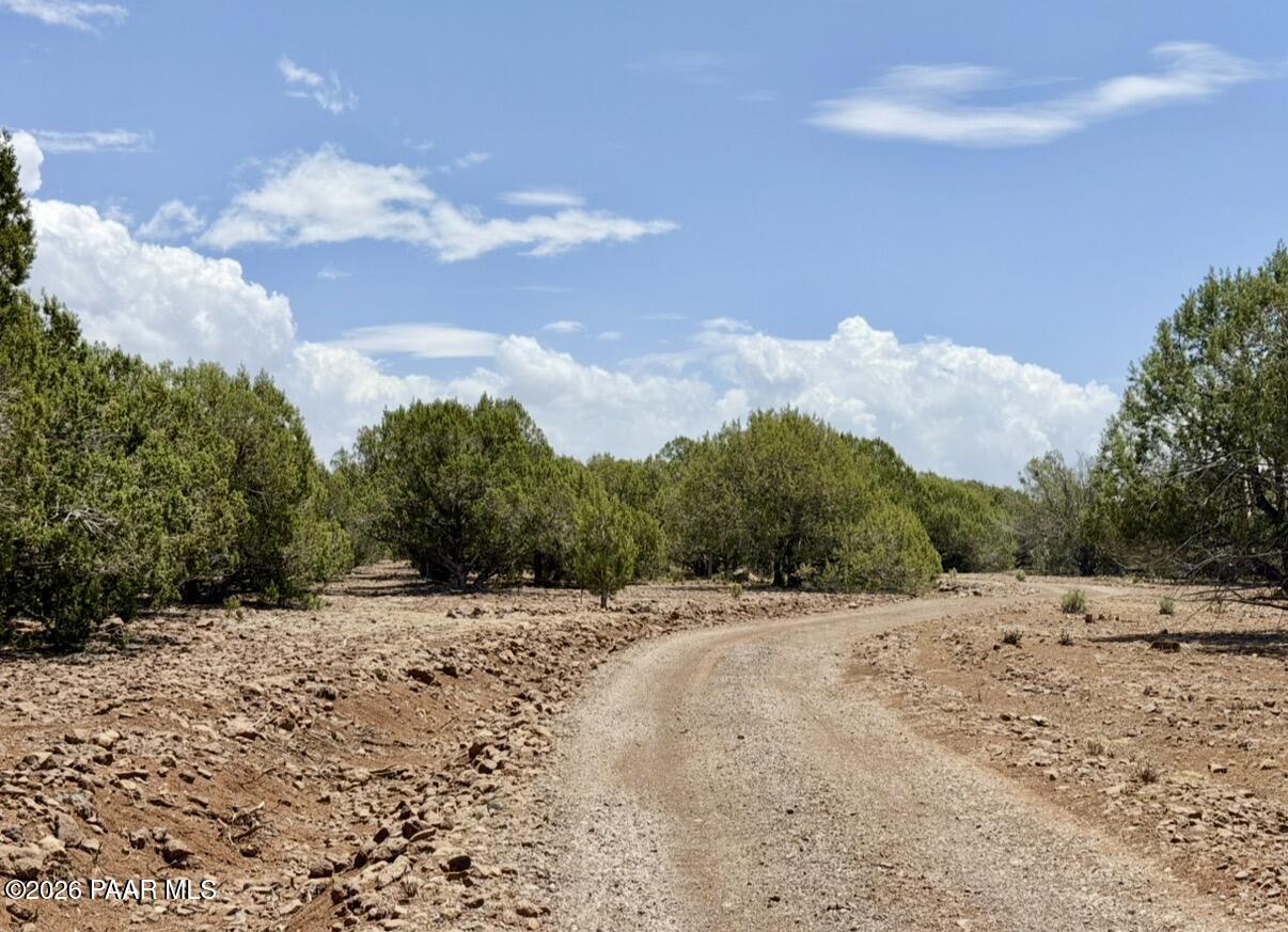 17169 Beale Wagon Road Seligman, AZ 86337 - Photo 53 of 55 Beale Wagon Homestead