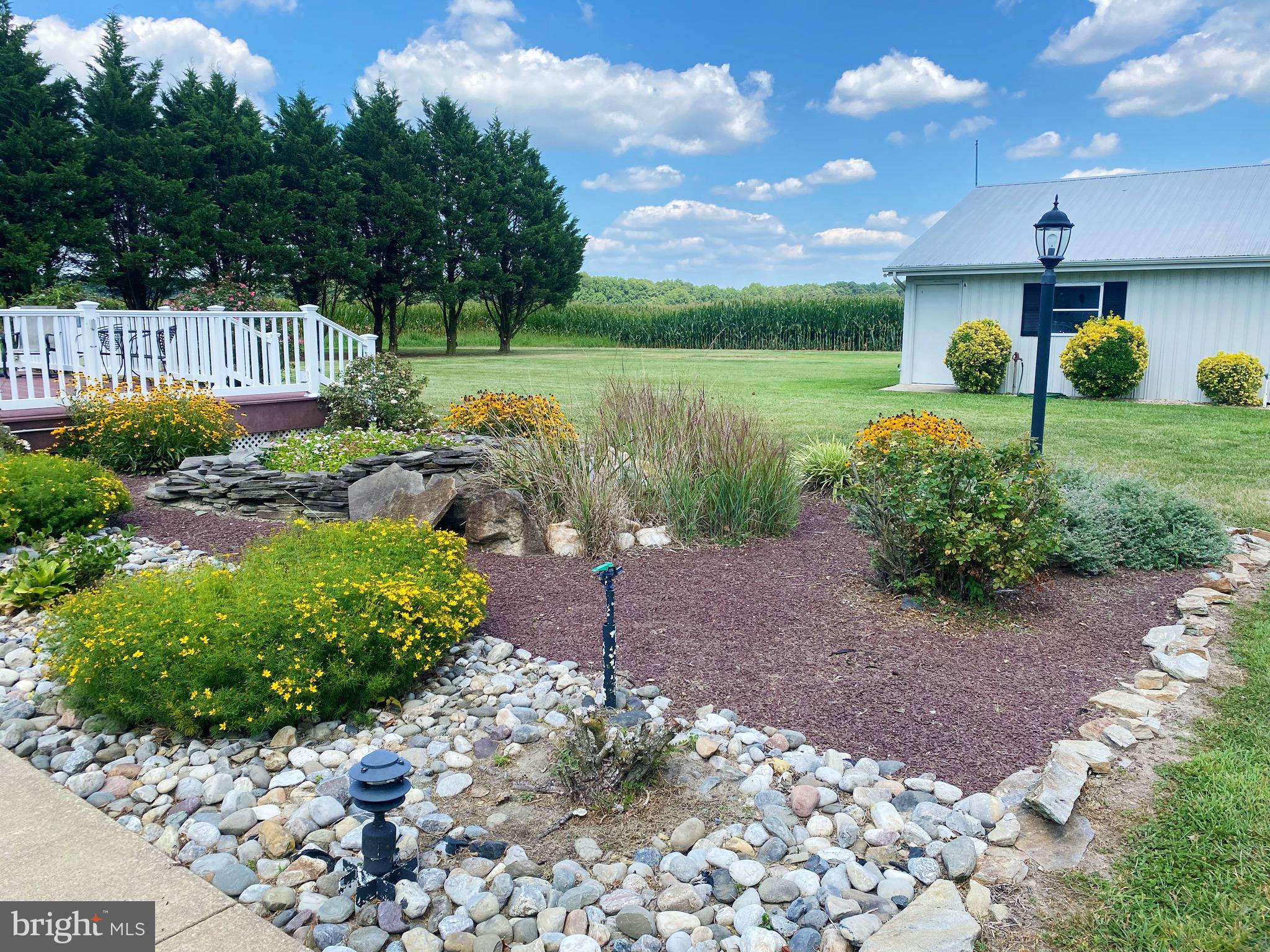 26459 Line Road Seaford, DE 19973 - Photo 47 of 79 Gallery Image 47