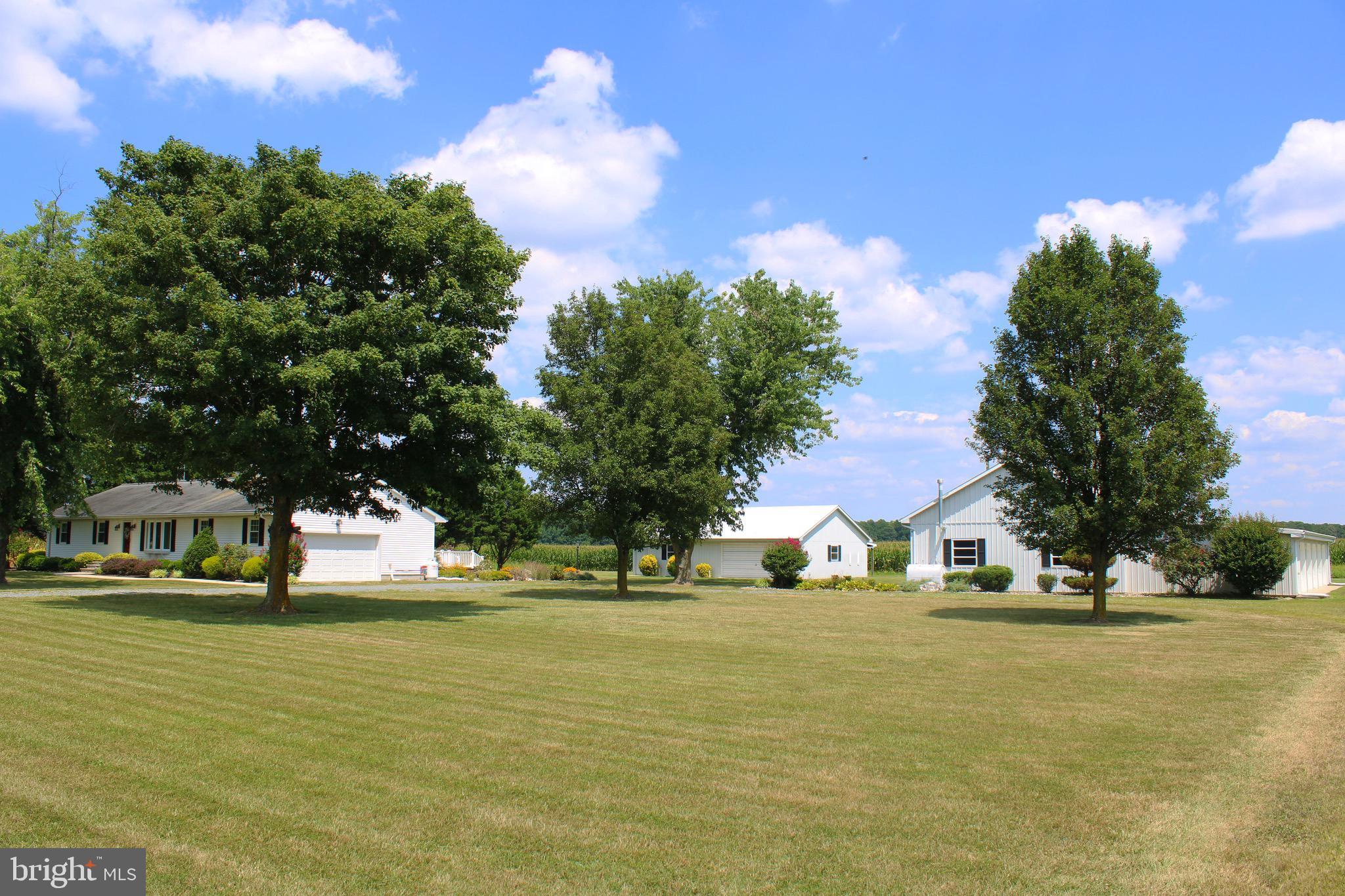 26459 Line Road Seaford, DE 19973 - Photo 6 of 79 Gallery Image 6