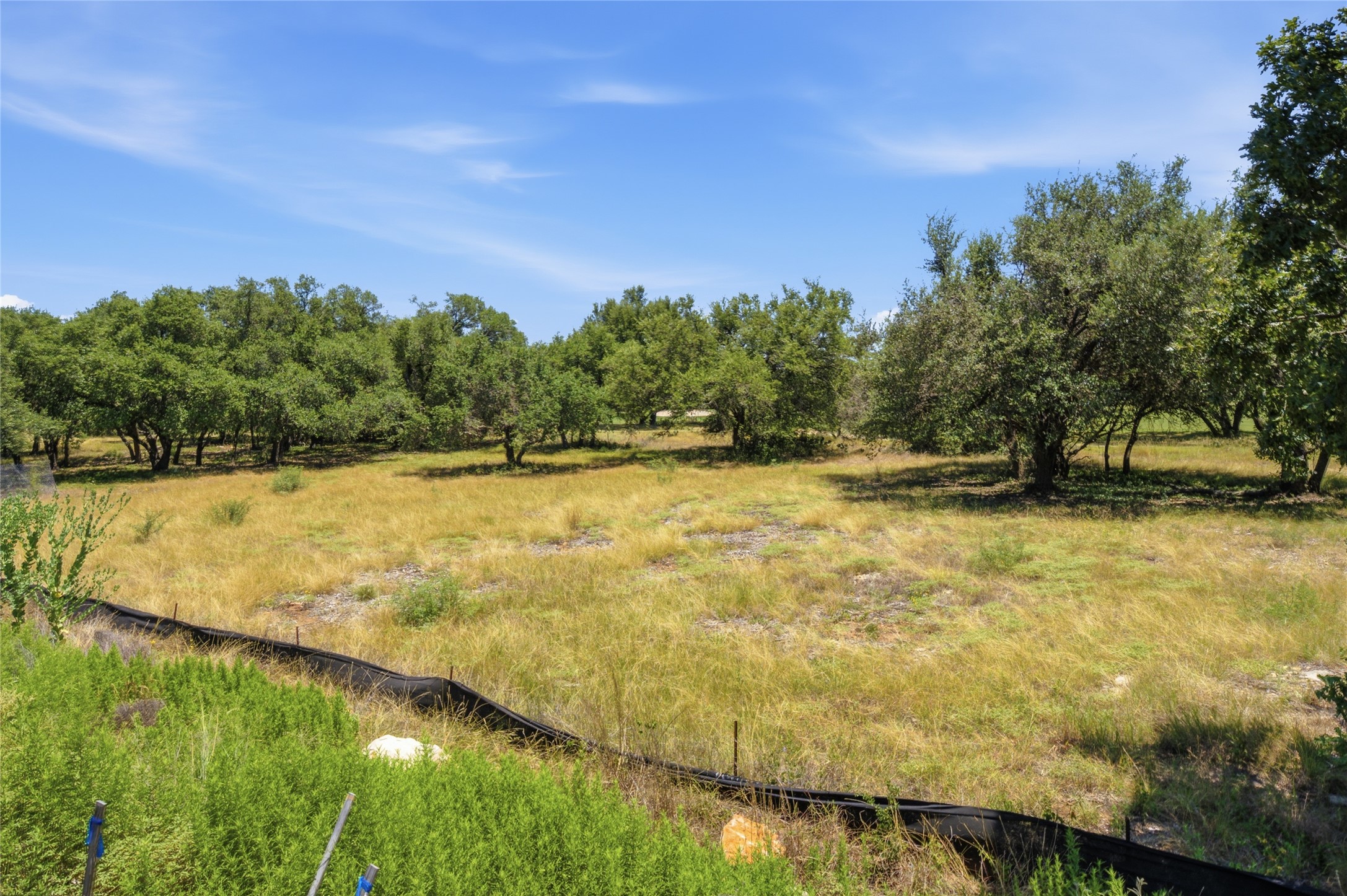 413 Lightning Rnch Road Georgetown, TX 78628 - Photo 7 of 8 A spacious, buildable lot awaits with mature trees and ample green space for your future home.