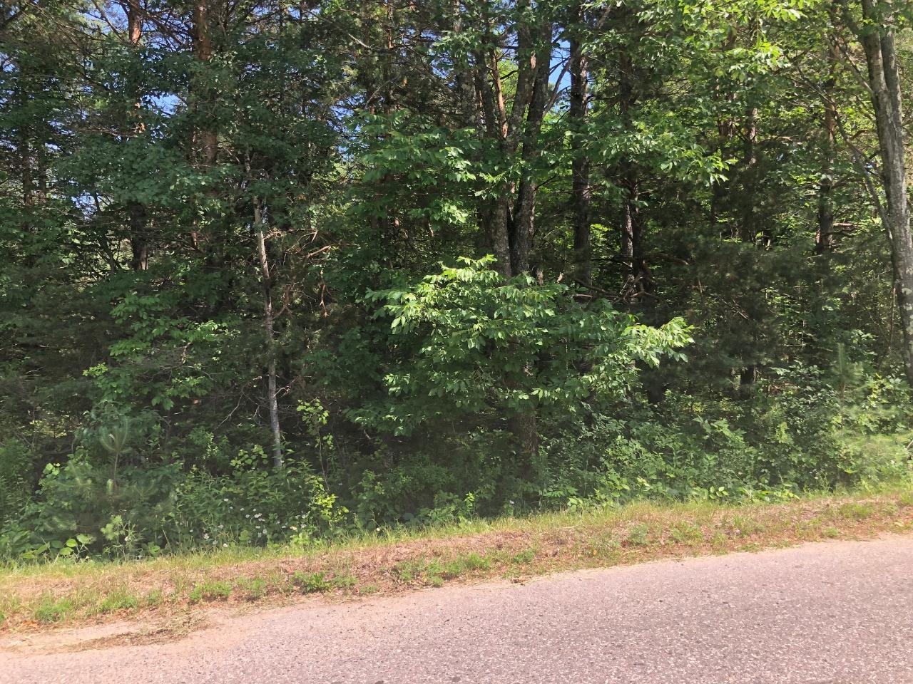 On King Road, Unit LOT 5 Rhinelander, WI 54501 - Photo 2 of 4 Gallery Image 2