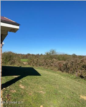 814 Jim Owens Road Lake, MS 39092 - Photo 3 of 9 Yard