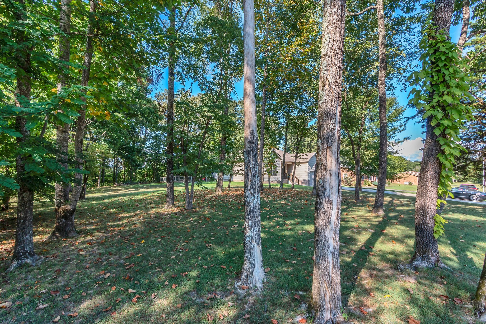 1027 Garton Road Burns, TN 37029 - Photo 6 of 36 a view of outdoor space and garden