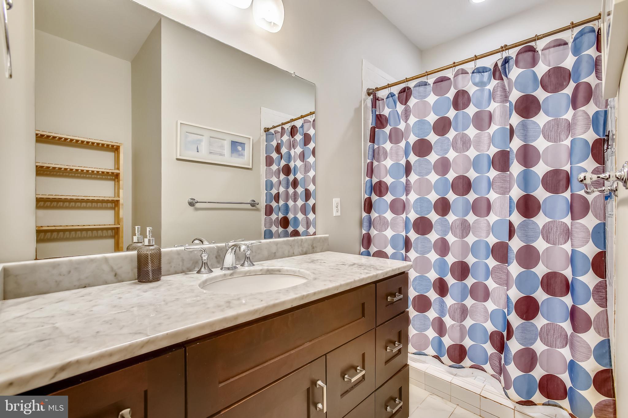 218 20th Street Northeast, Unit 1 Washington, DC 20002 - Photo 20 of 28 Spa inspired bath #1