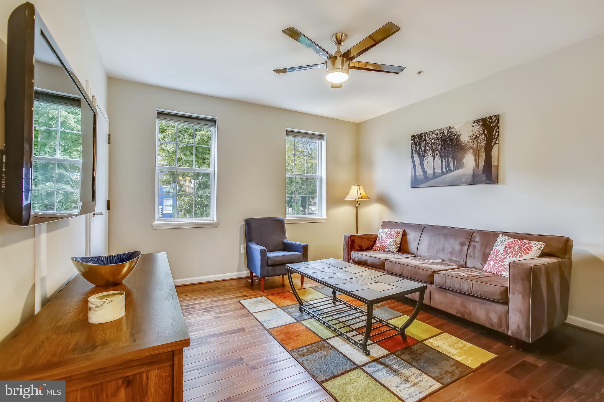 218 20th Street Northeast, Unit 1 Washington, DC 20002 - Photo 6 of 28 Adult furniture goes here!