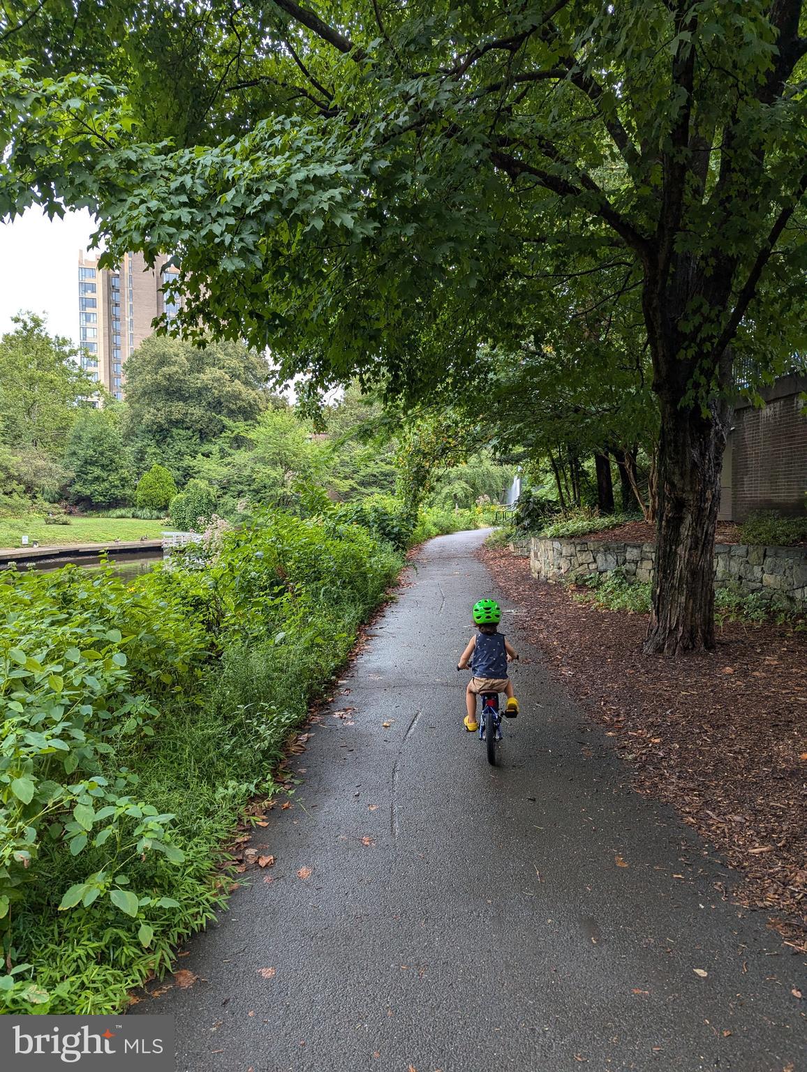 11527 Hickory Cluster Reston, VA 20190 - Photo 20 of 30 a park view with a bench