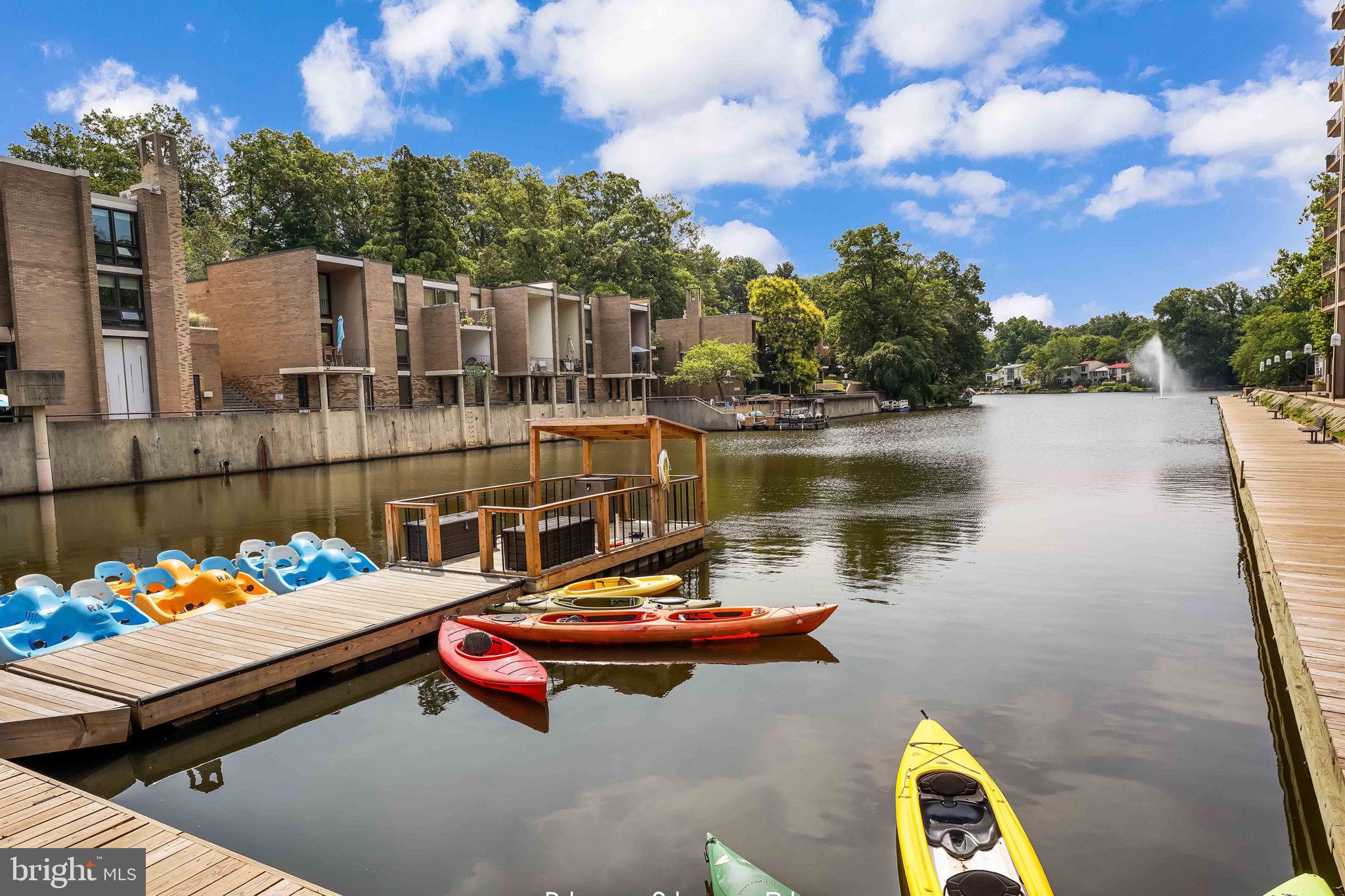 11527 Hickory Cluster Reston, VA 20190 - Photo 24 of 30 a lake view with boat and palm trees