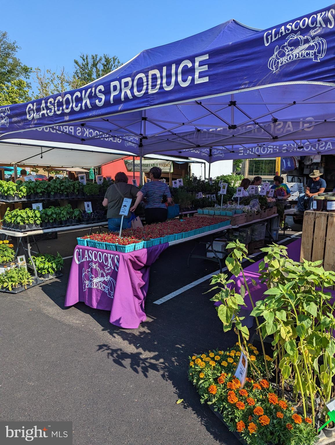 11527 Hickory Cluster Reston, VA 20190 - Photo 28 of 30 a view of a book shop