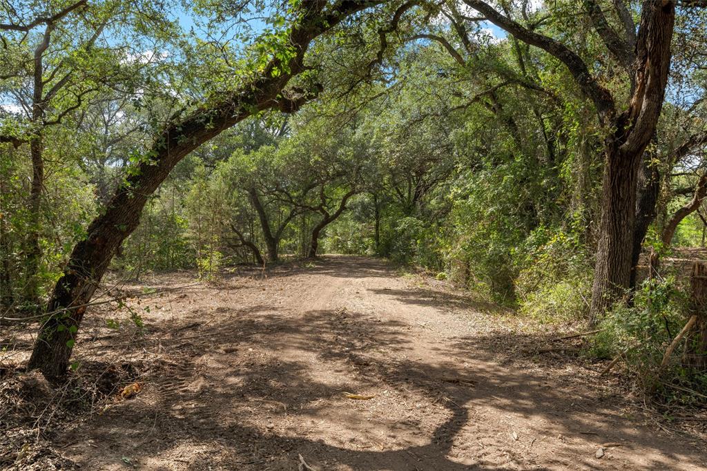 1044 Audrey Avenue Waco, TX 76705 - Photo 14 of 16 a view of dirt yard with a large tree