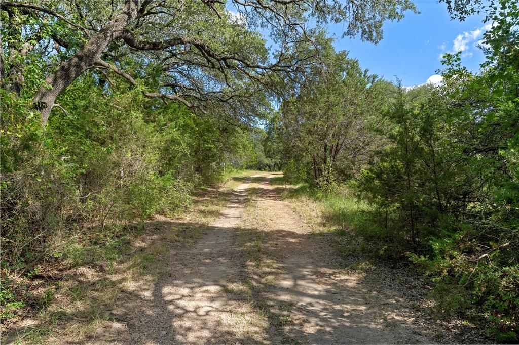 1044 Audrey Avenue Waco, TX 76705 - Photo 15 of 16 a view of outdoor space and trees