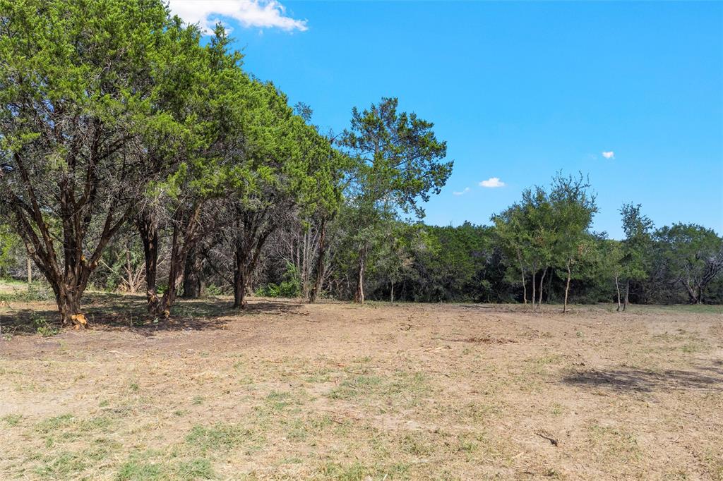 1044 Audrey Avenue Waco, TX 76705 - Photo 6 of 16 a view of outdoor space with trees