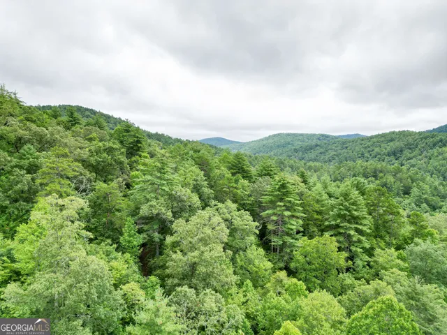 an aerial view of houses covered in trees