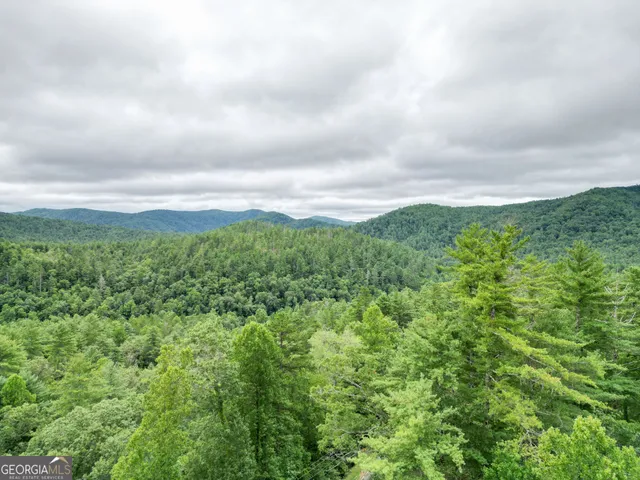 a view of a green field with lots of bushes