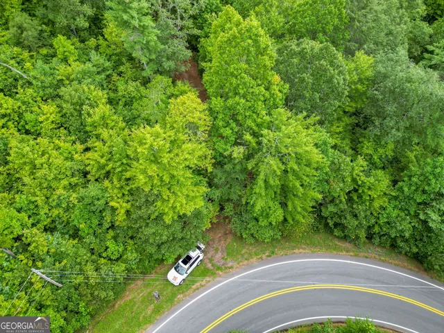 a view of a yard with a plants and a small yard