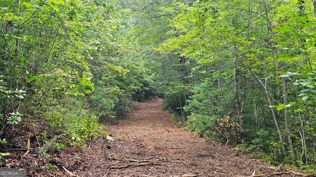 a view of a large yard with lots of green space and a fountain