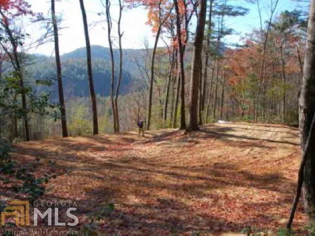 a view of outdoor space with trees