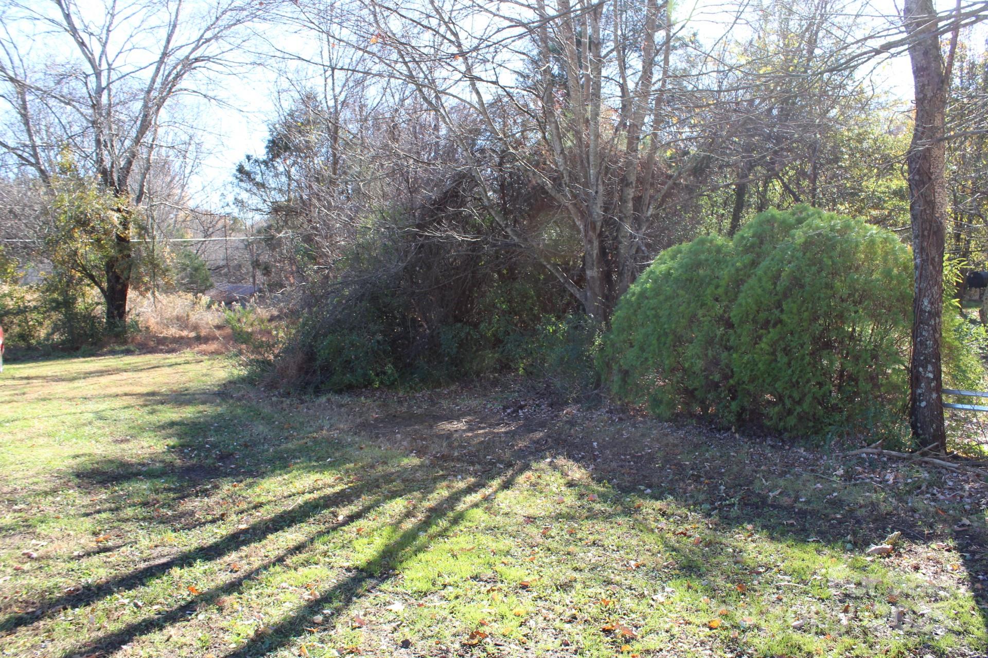 a view of a yard with plants and trees