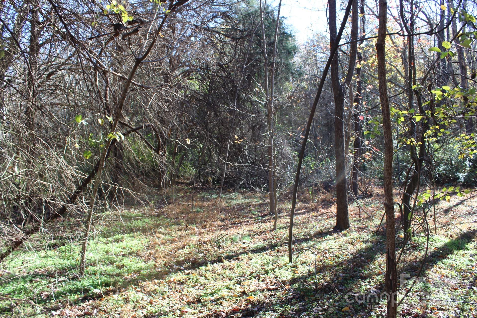 0 Bell Farm Road Statesville, NC 28625 - Photo 12 of 37 a view of a forest filled with trees