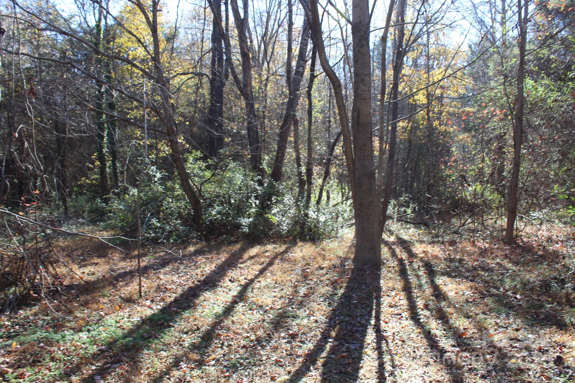 0 Bell Farm Road Statesville, NC 28625 - Photo 13 of 37 a view of a yard
