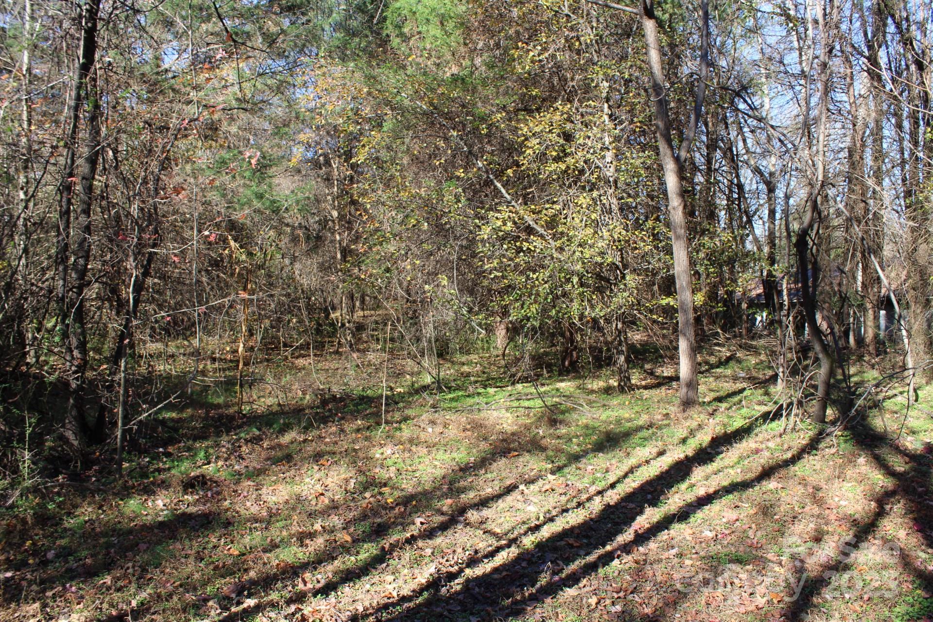 0 Bell Farm Road Statesville, NC 28625 - Photo 14 of 37 a view of a yard with trees