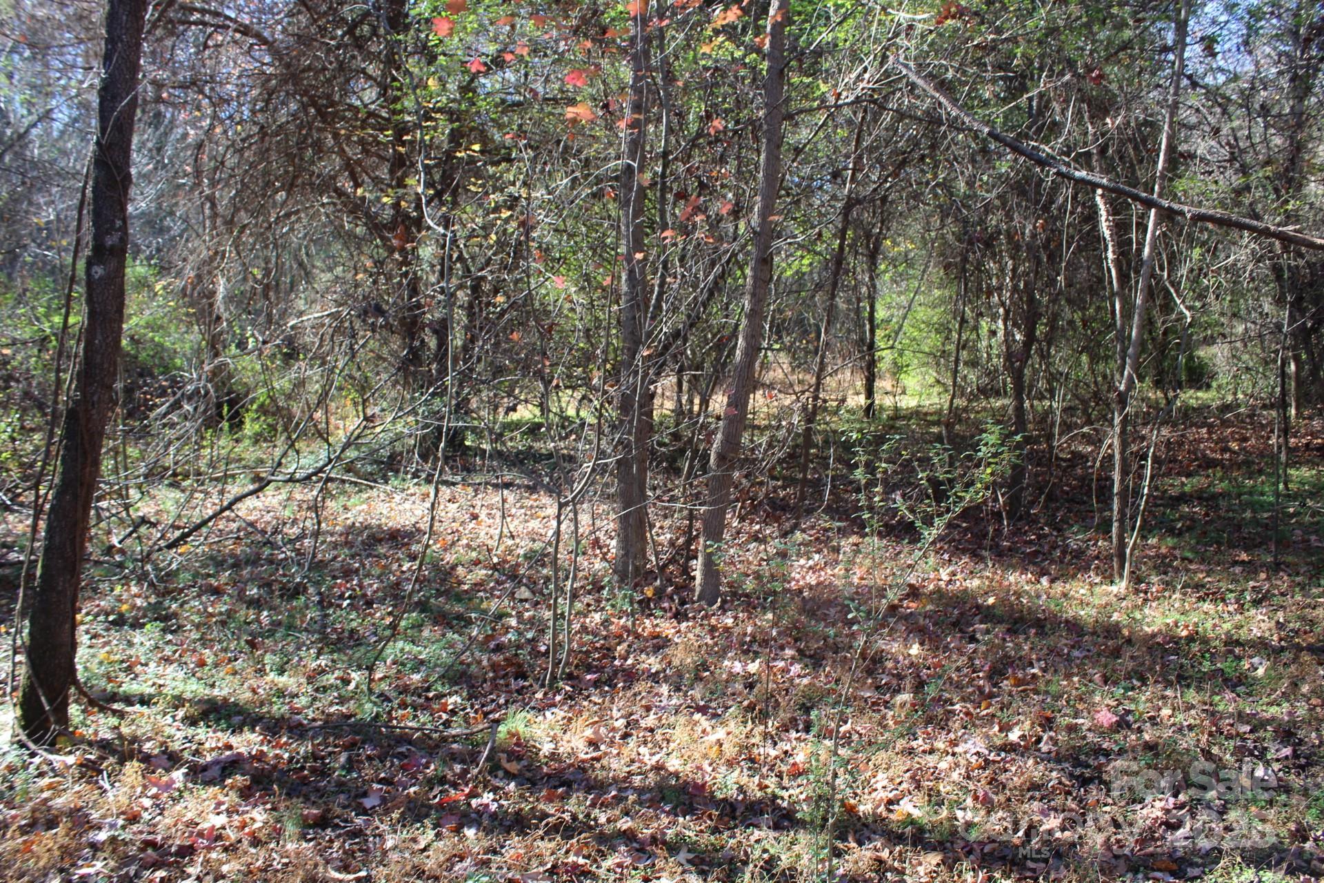 0 Bell Farm Road Statesville, NC 28625 - Photo 15 of 37 a view of forest