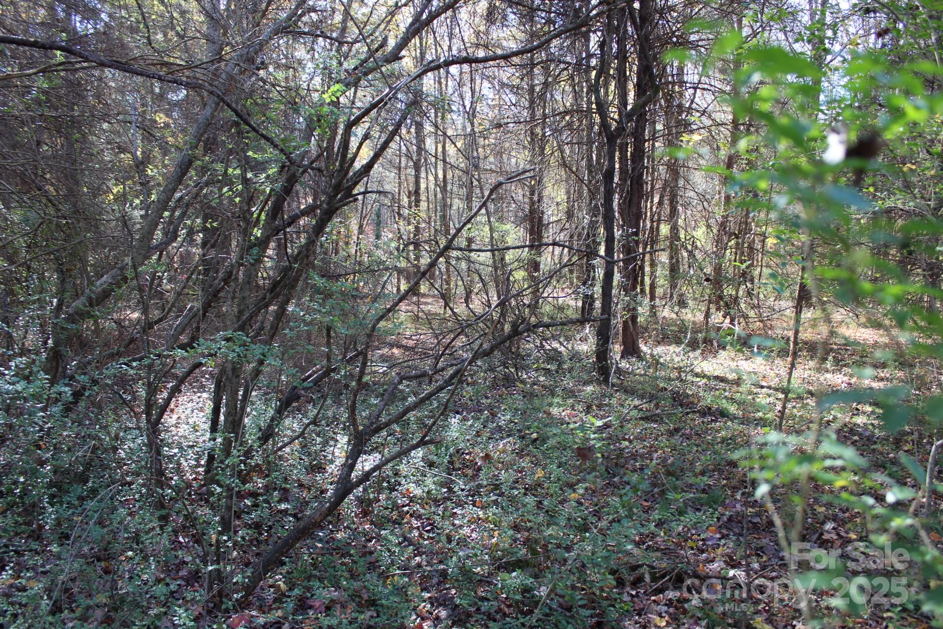 0 Bell Farm Road Statesville, NC 28625 - Photo 16 of 37 a view of forest