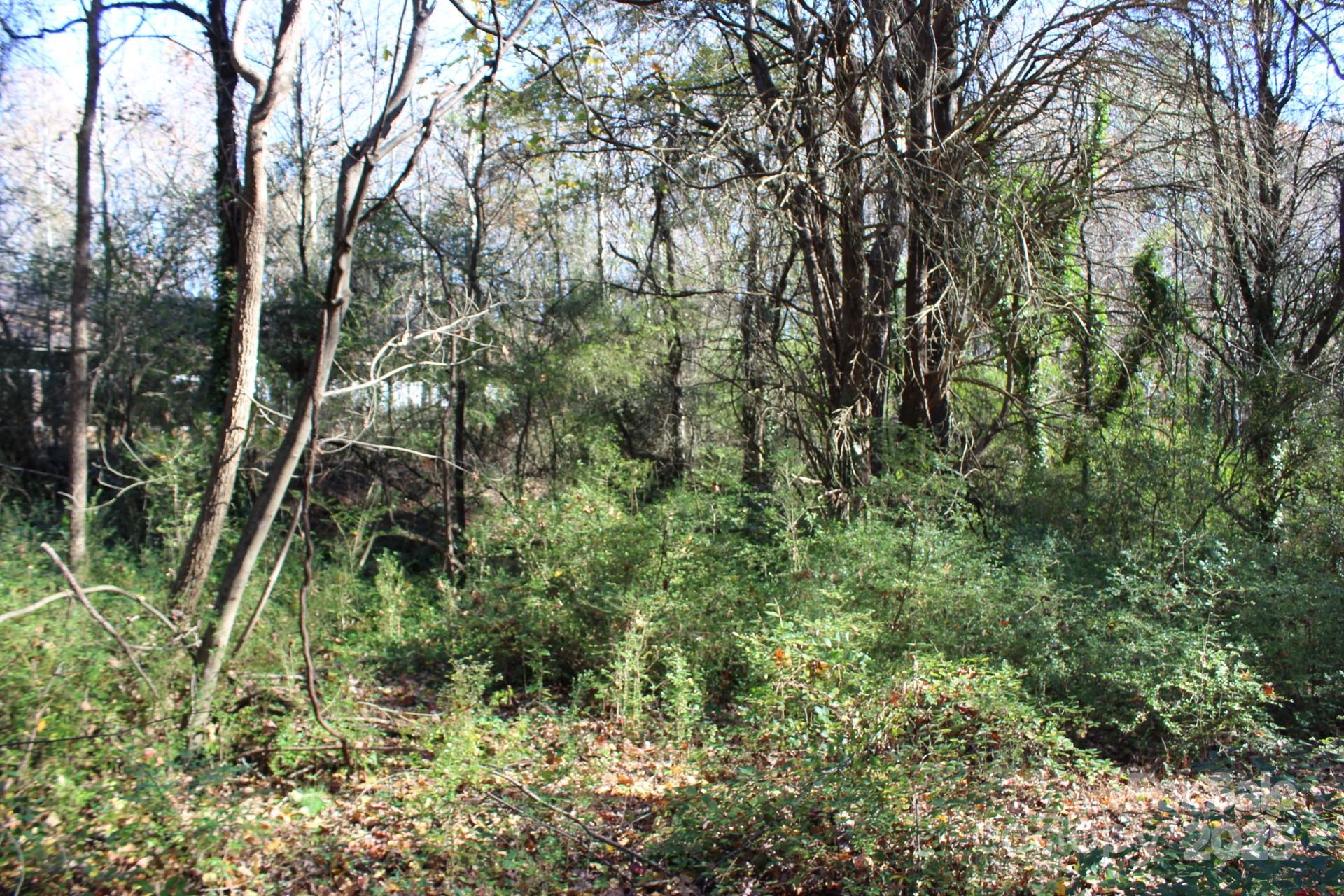 0 Bell Farm Road Statesville, NC 28625 - Photo 17 of 37 a backyard of a house with lots of green space