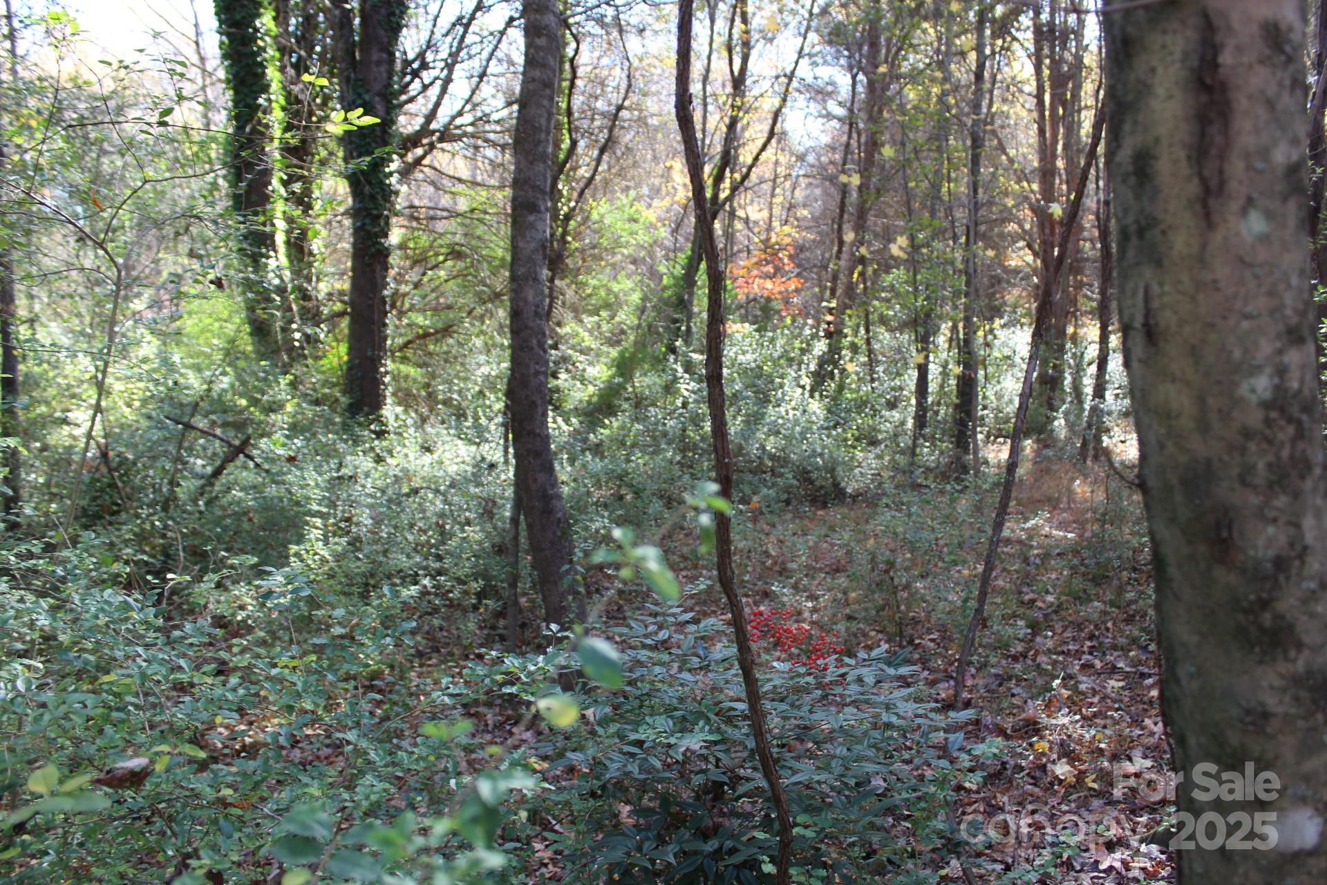 0 Bell Farm Road Statesville, NC 28625 - Photo 18 of 37 a view of a forest
