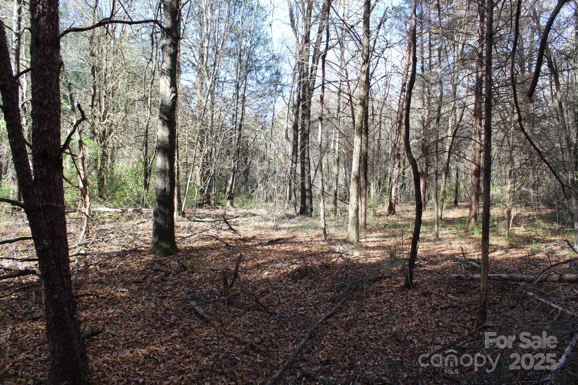 0 Bell Farm Road Statesville, NC 28625 - Photo 19 of 37 a view of backyard with tree