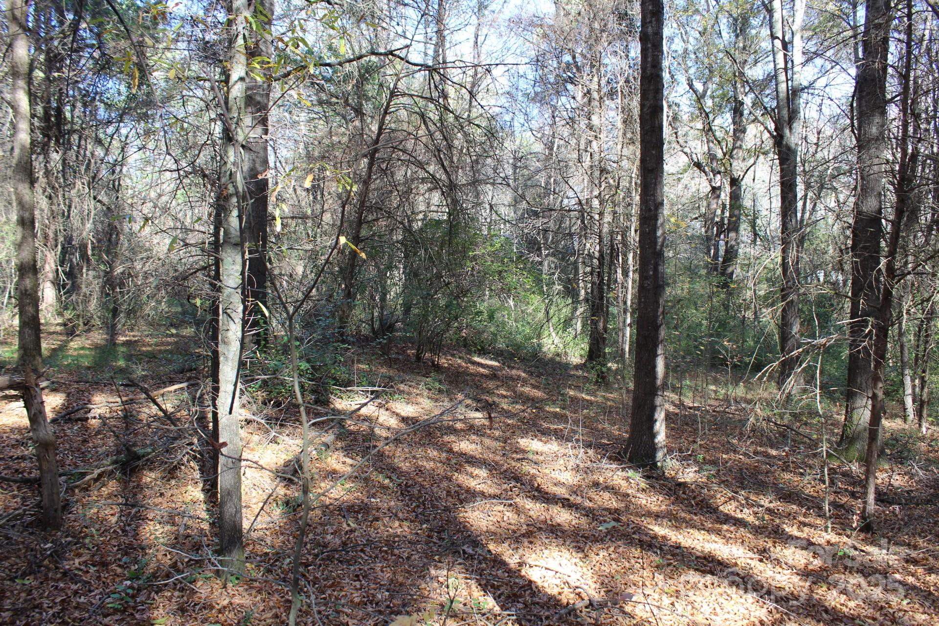 0 Bell Farm Road Statesville, NC 28625 - Photo 20 of 37 a view of forest