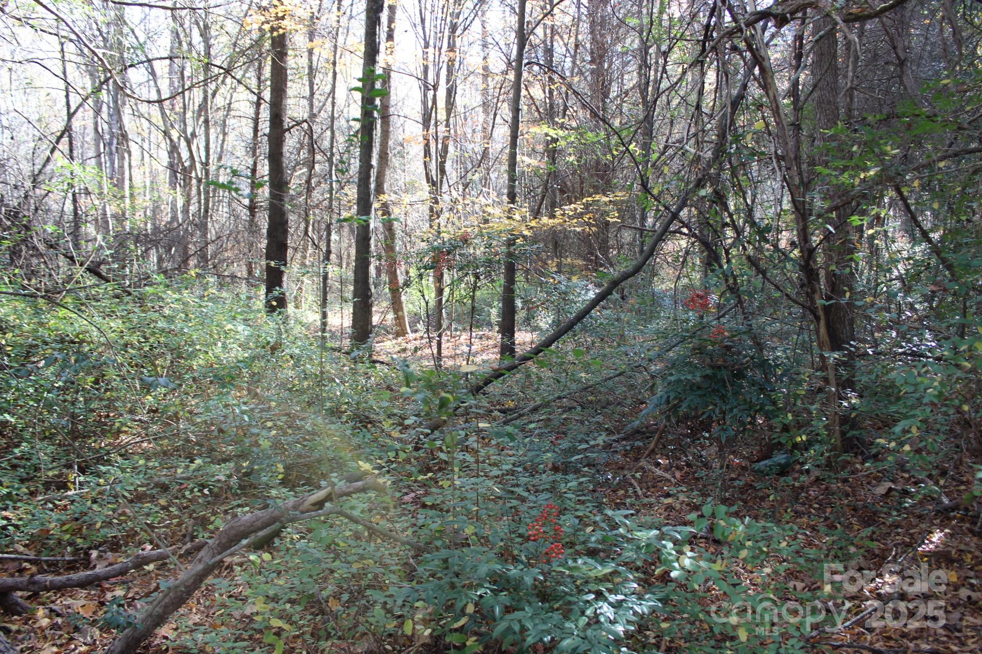 0 Bell Farm Road Statesville, NC 28625 - Photo 21 of 37 a view of forest