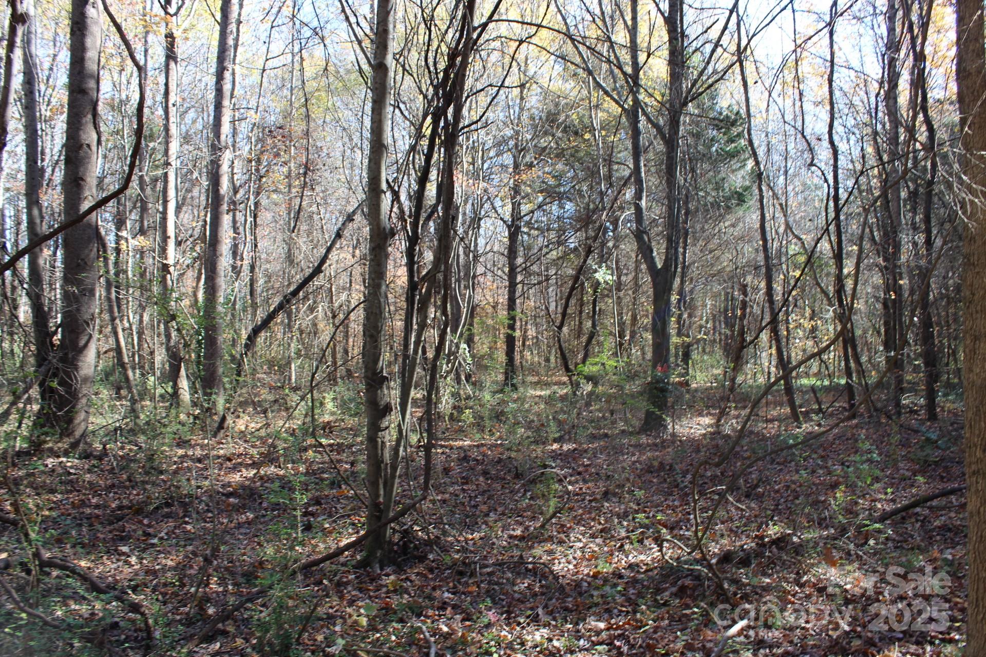0 Bell Farm Road Statesville, NC 28625 - Photo 22 of 37 a view of a forest with trees