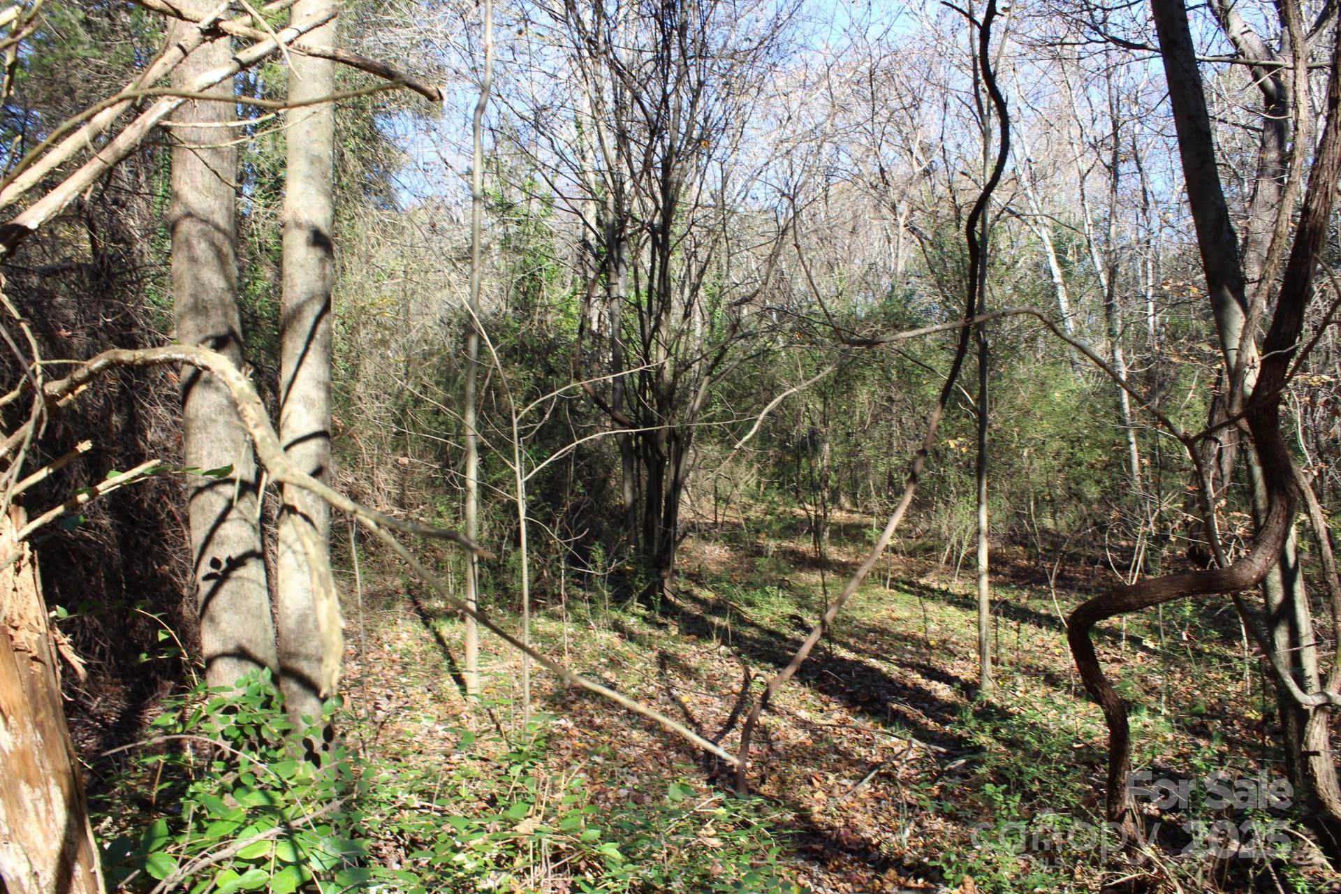 0 Bell Farm Road Statesville, NC 28625 - Photo 23 of 37 a backyard of a house with lots of green space