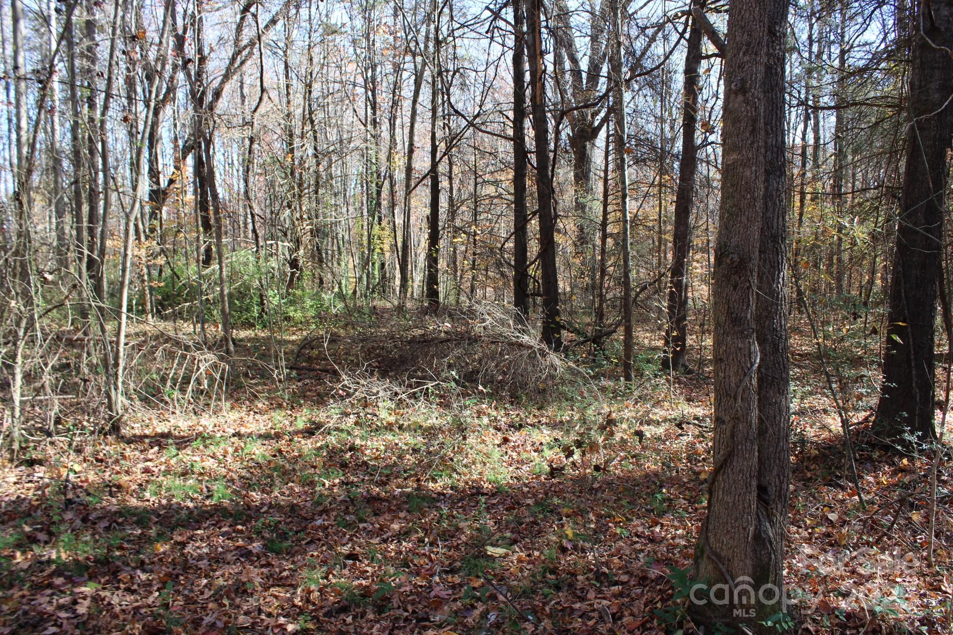0 Bell Farm Road Statesville, NC 28625 - Photo 24 of 37 a view of a forest