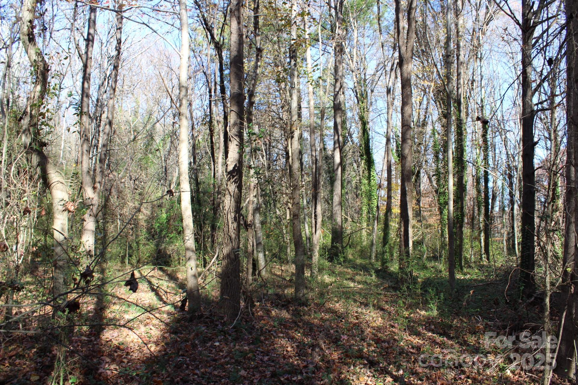 0 Bell Farm Road Statesville, NC 28625 - Photo 25 of 37 a view of forest