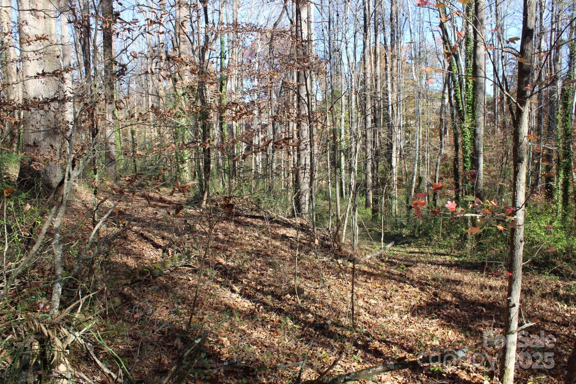 0 Bell Farm Road Statesville, NC 28625 - Photo 26 of 37 a view of forest