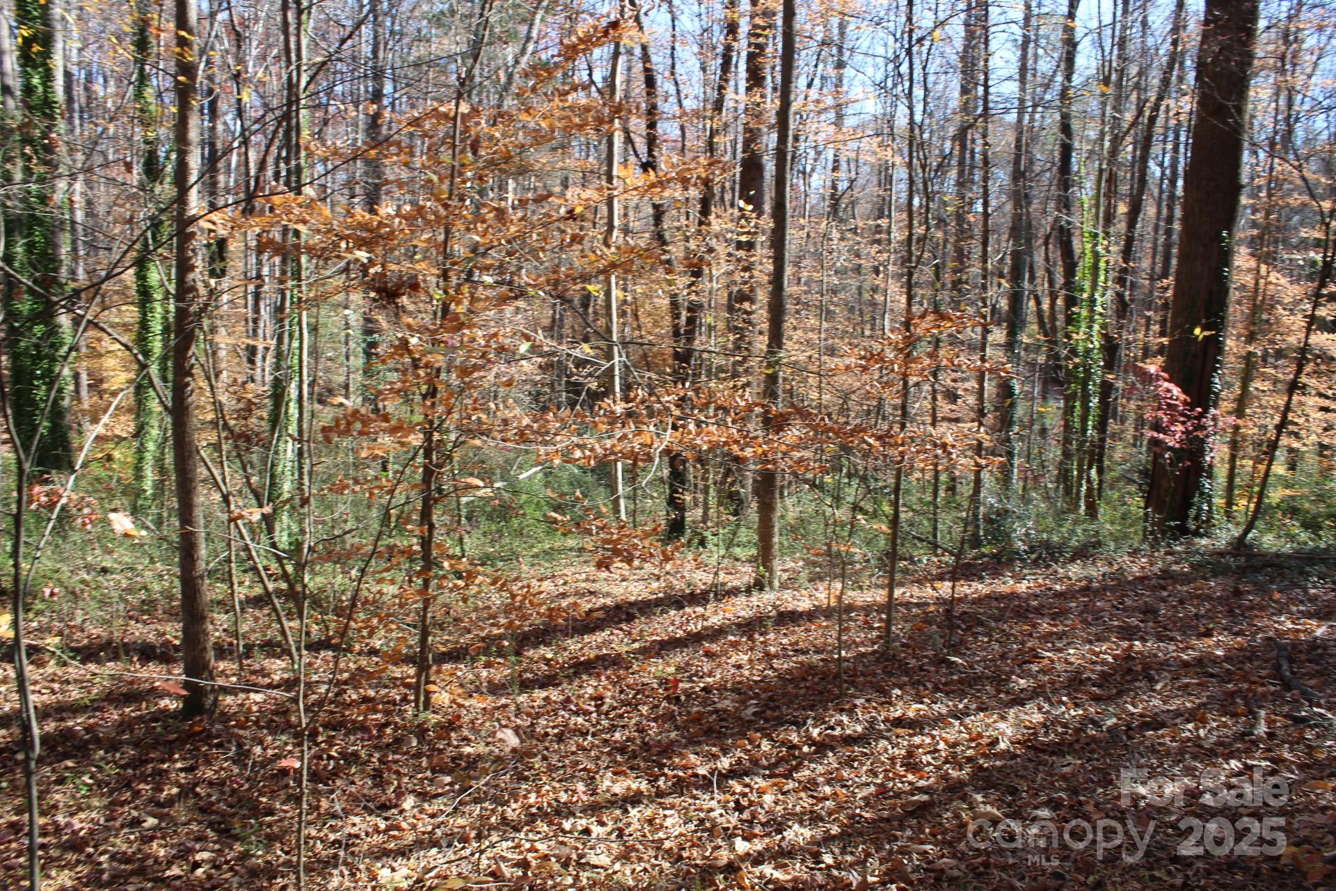 0 Bell Farm Road Statesville, NC 28625 - Photo 27 of 37 a view of a yard with lots of trees