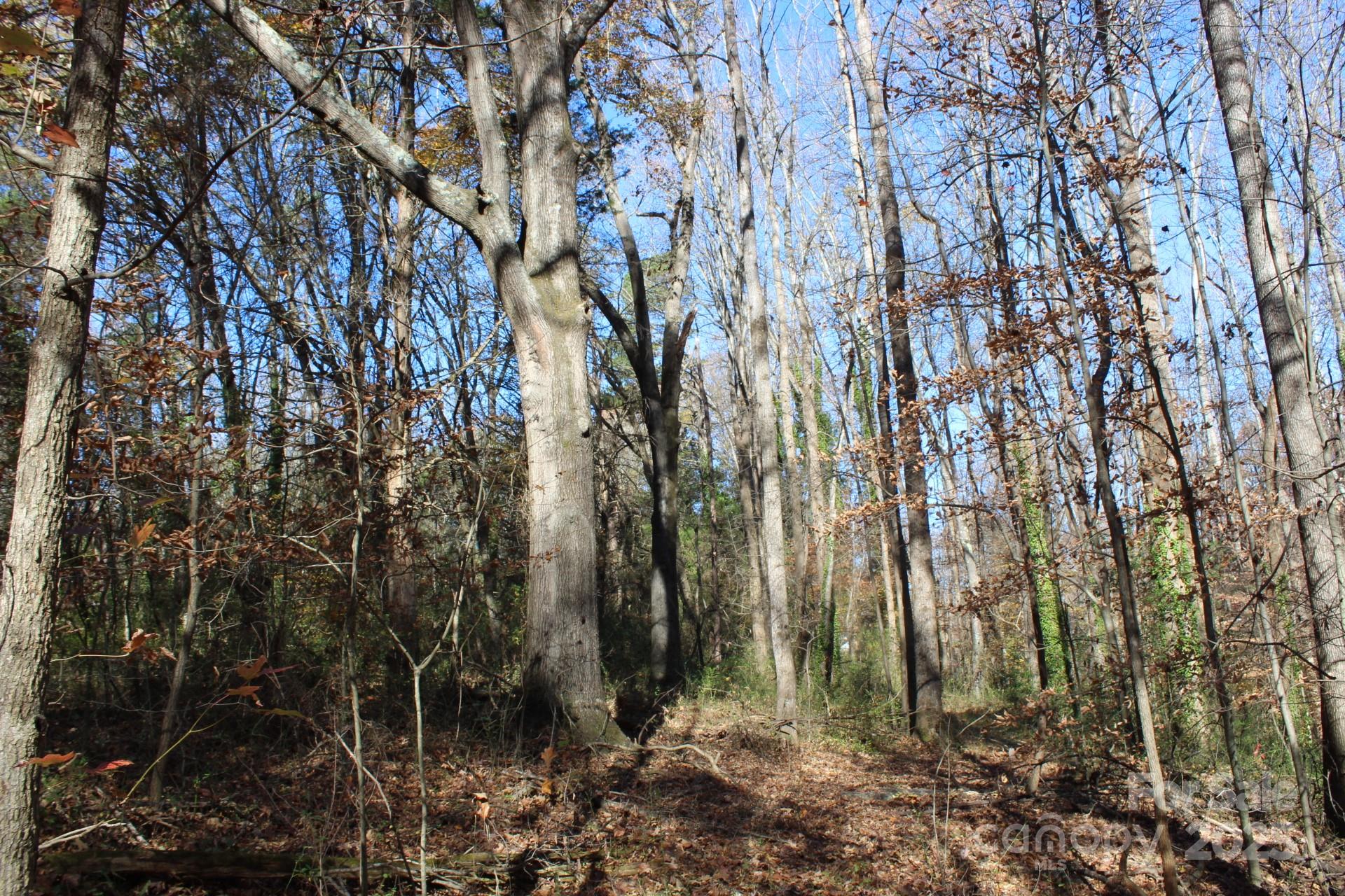 0 Bell Farm Road Statesville, NC 28625 - Photo 28 of 37 a view of forest