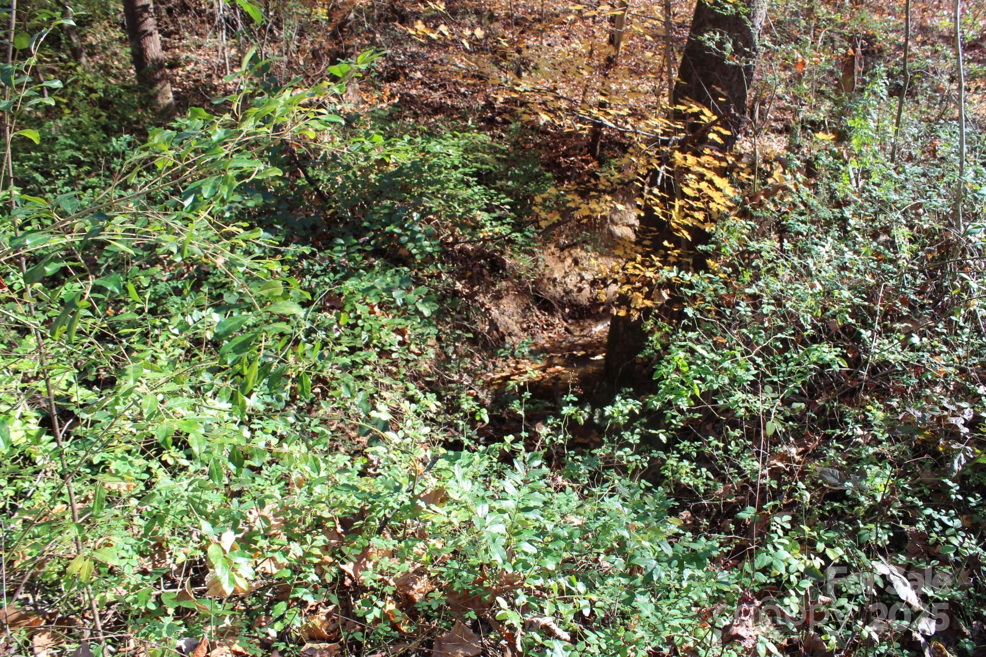 0 Bell Farm Road Statesville, NC 28625 - Photo 29 of 37 a view of a tree