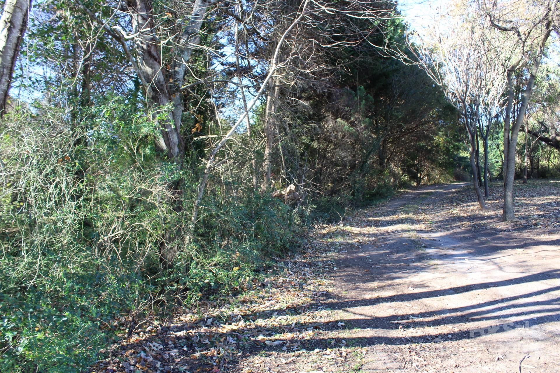 0 Bell Farm Road Statesville, NC 28625 - Photo 3 of 37 a view of a yard with plants and tree