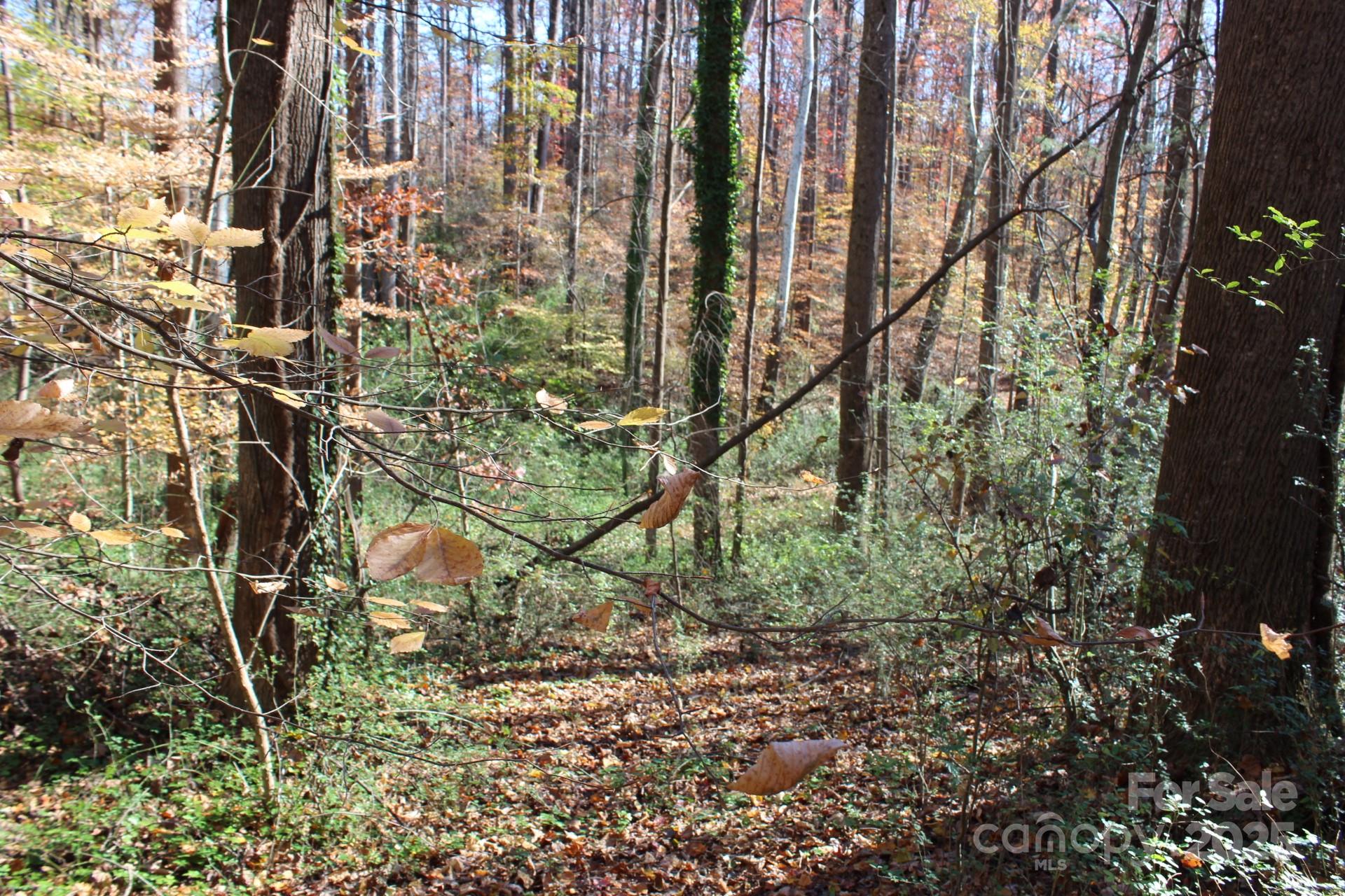 0 Bell Farm Road Statesville, NC 28625 - Photo 33 of 37 a backyard of a building