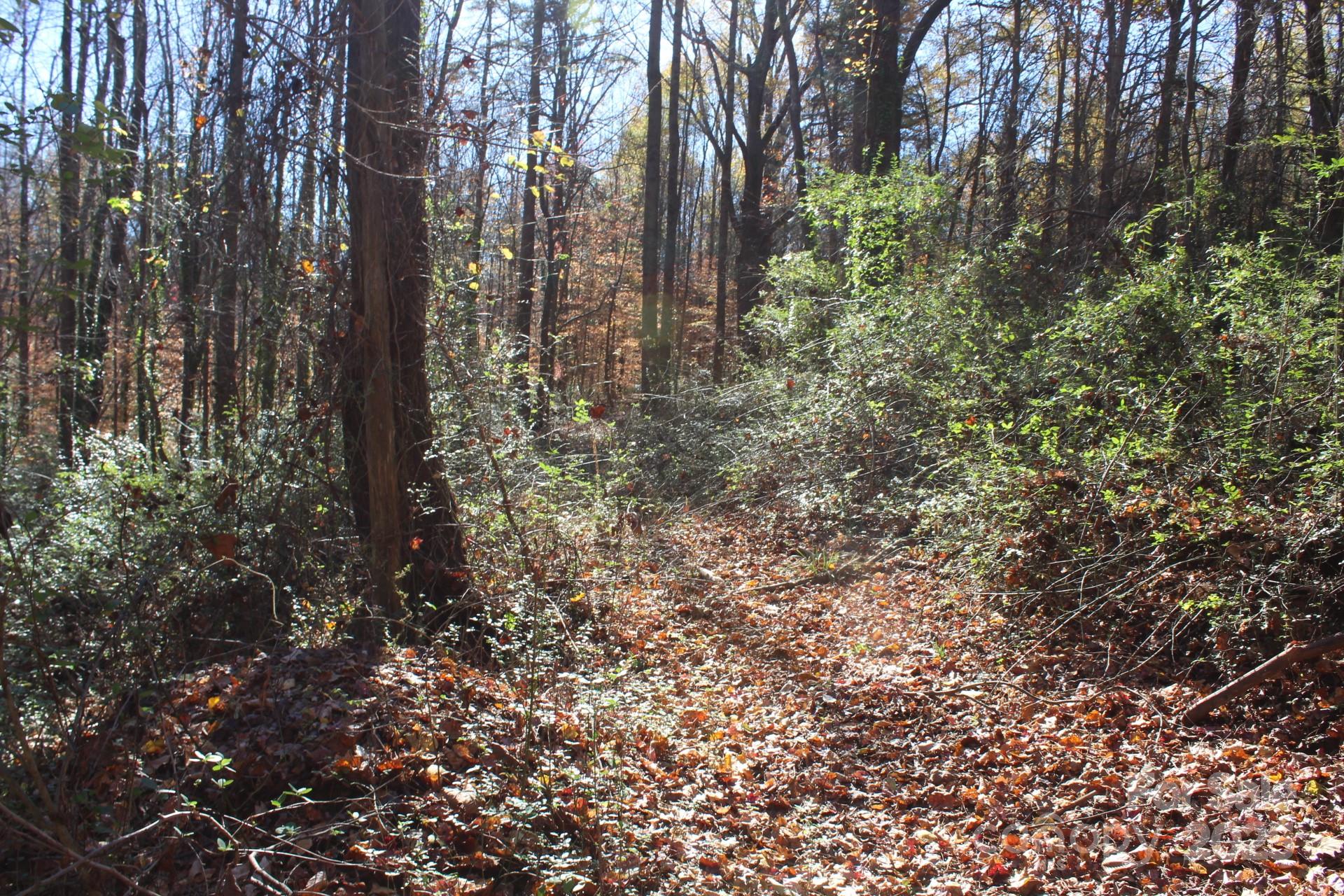 0 Bell Farm Road Statesville, NC 28625 - Photo 34 of 37 a view of forest