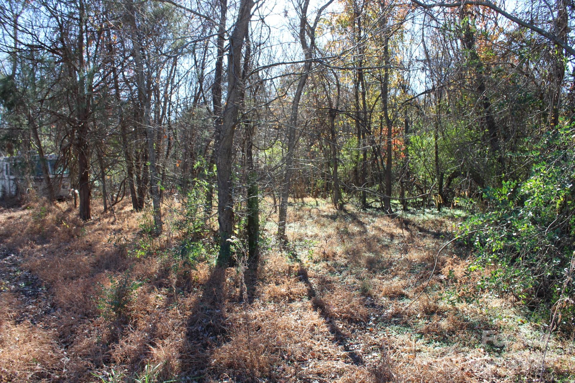 0 Bell Farm Road Statesville, NC 28625 - Photo 4 of 37 a view of forest