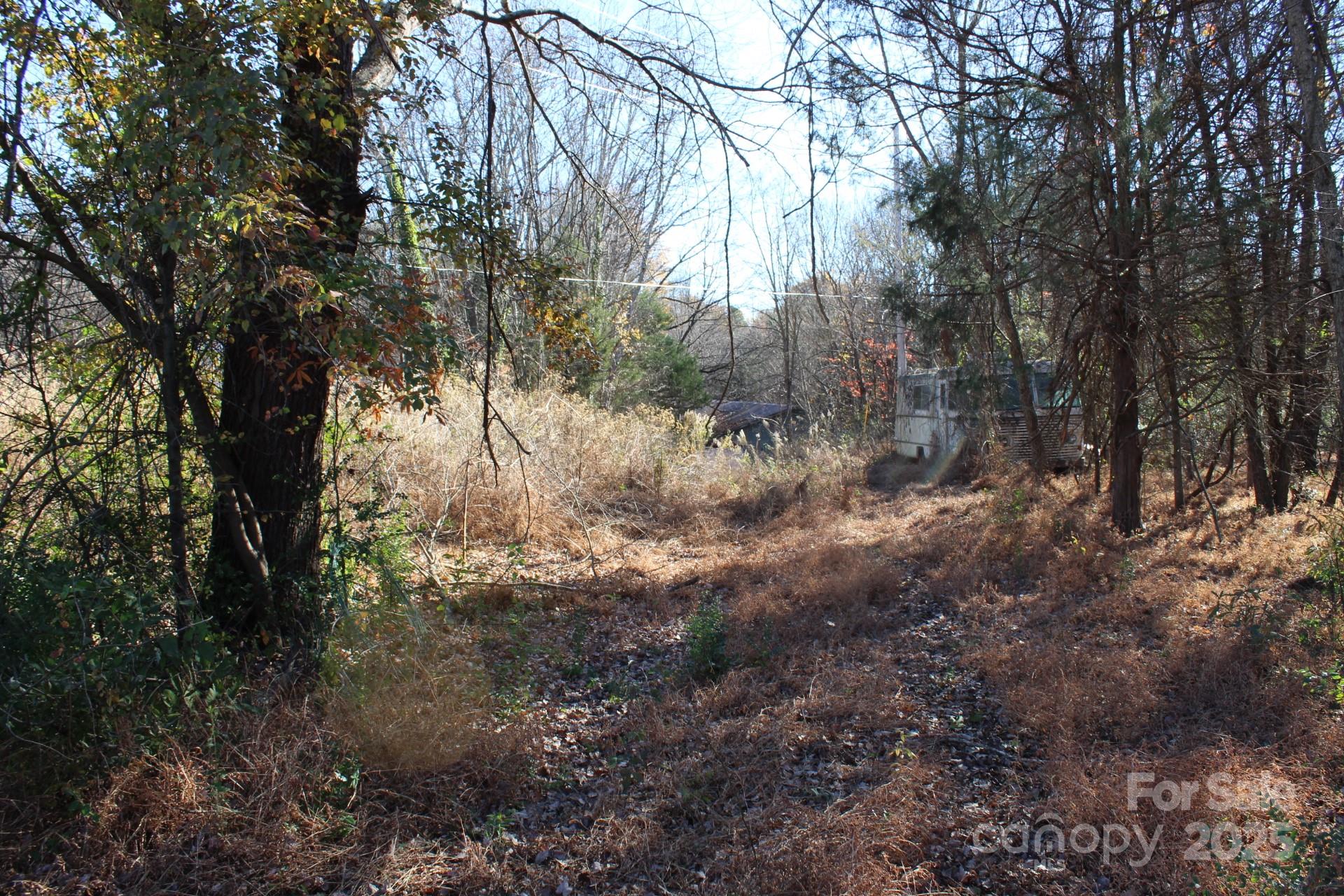 0 Bell Farm Road Statesville, NC 28625 - Photo 5 of 37 a view of a yard