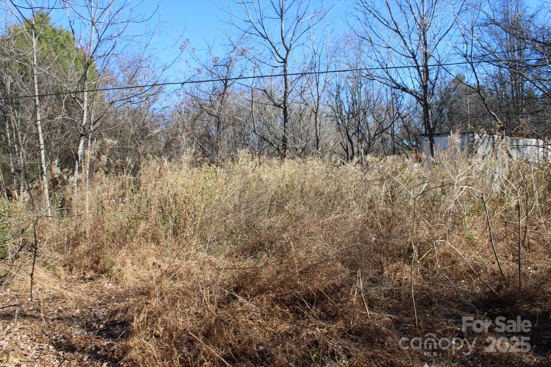 0 Bell Farm Road Statesville, NC 28625 - Photo 6 of 37 a view of a dry yard with trees