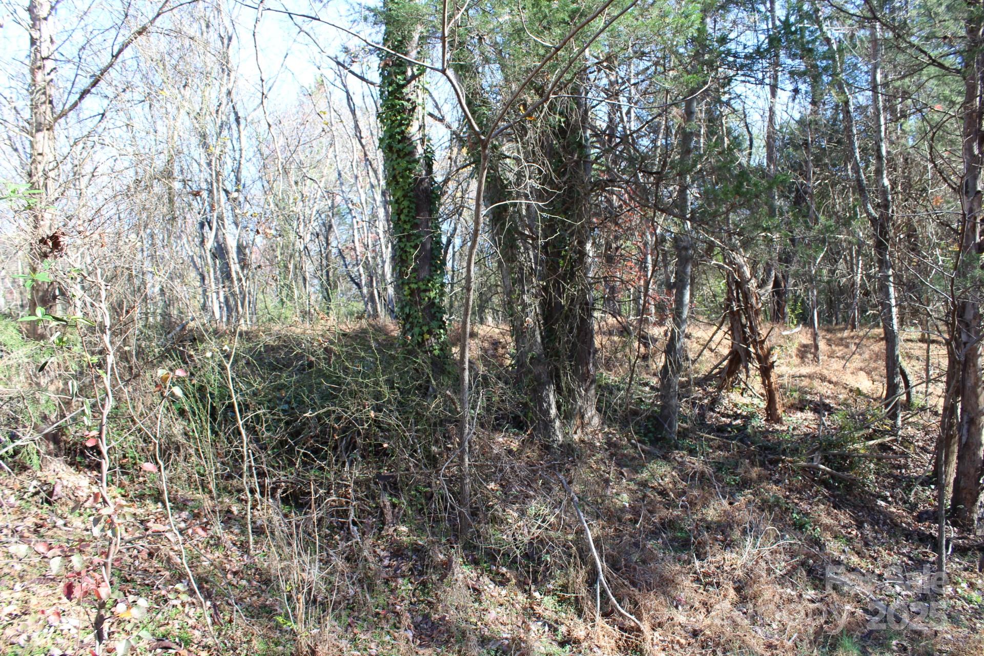 0 Bell Farm Road Statesville, NC 28625 - Photo 8 of 37 a view of forest